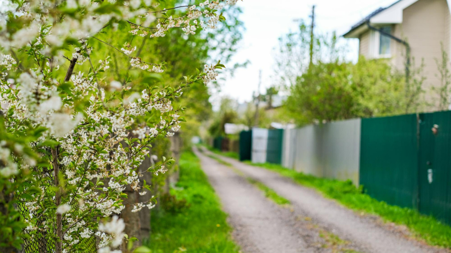 Materiale esențiale pentru lucrările de primăvară