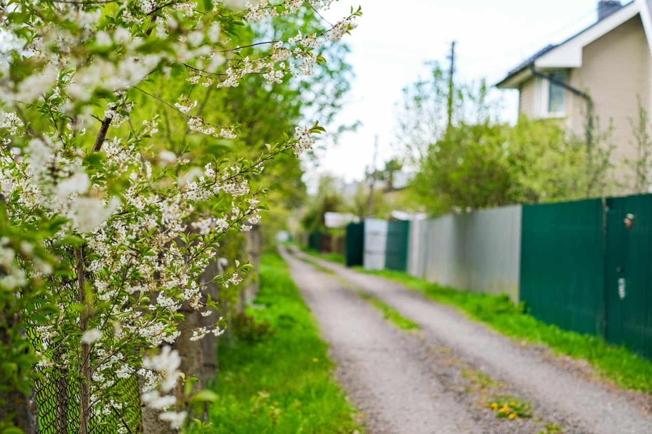 Materiale esențiale pentru lucrările de primăvară